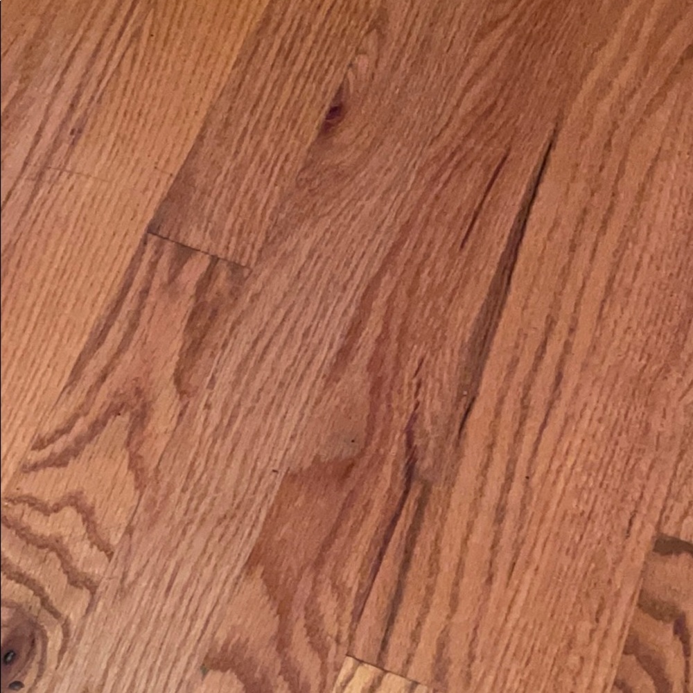 Meet your Posher, Riley